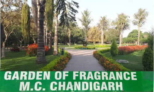 Garden of Fragrance, 36B Chandigarh